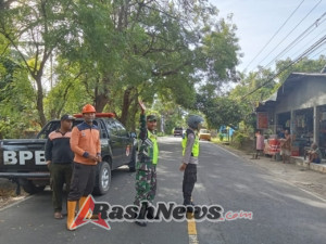 Babinsa dan Bhabinkamtibmas Kawal Penebangan Pohon oleh DLH Demi Kelancaran Lalu Lintas