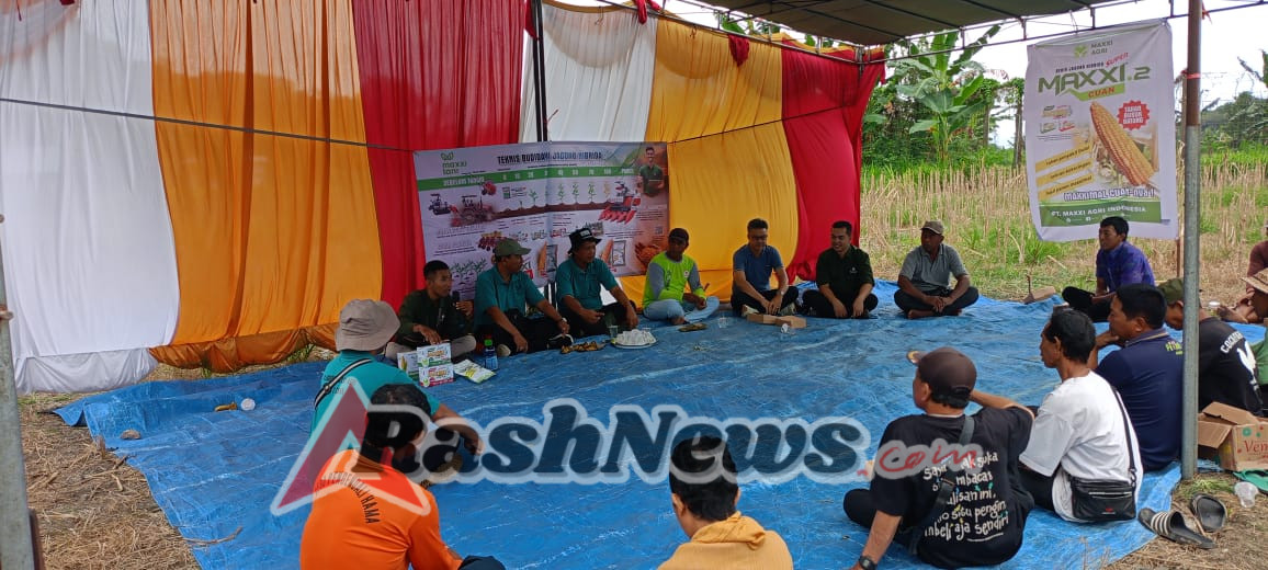 Sinergitas Menuju Penguatan Hanpangan, Babinsa Dawan Klod Hadiri Panen Raya Jagung Kering