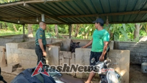 Komsos Babinsa dengan Peternak Babi, Wujud Perhatian Terhadap Masyarakat