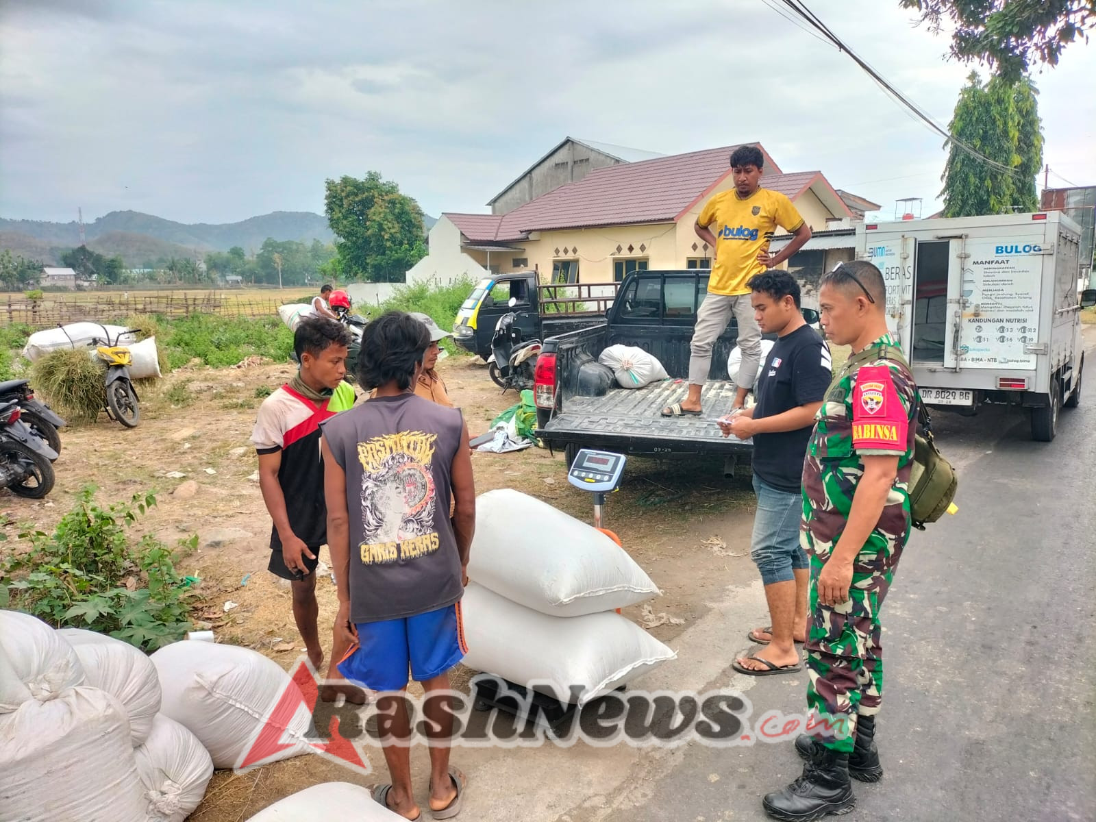 Bersama PPL dan Bulog, Babinsa Jatiwangi Kawal Ketahanan Pangan Lewat Pembelian Gabah