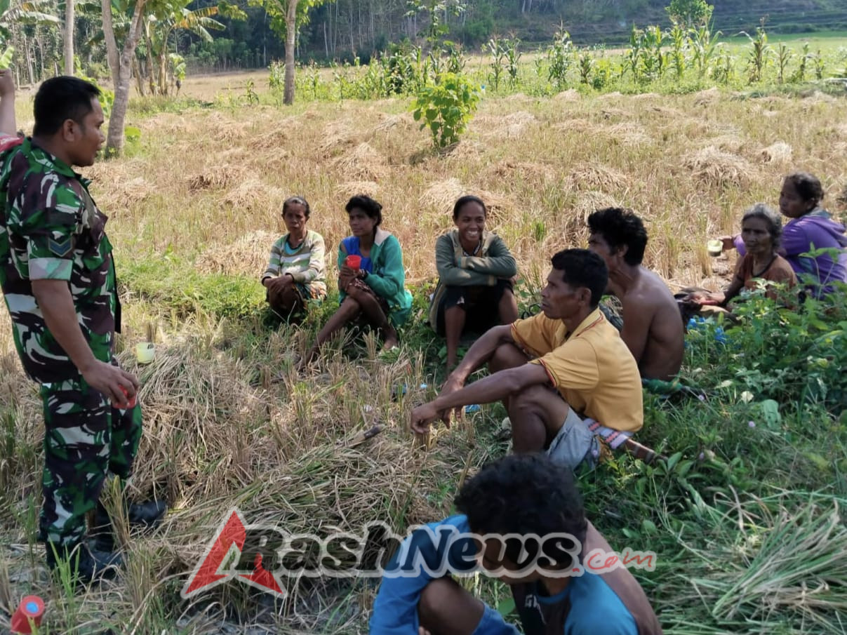 Babinsa Koramil 02/Walakaka Laksanakan Komsos Ketahanan Pangan Bersama Petani di Desa Lamboya Dete