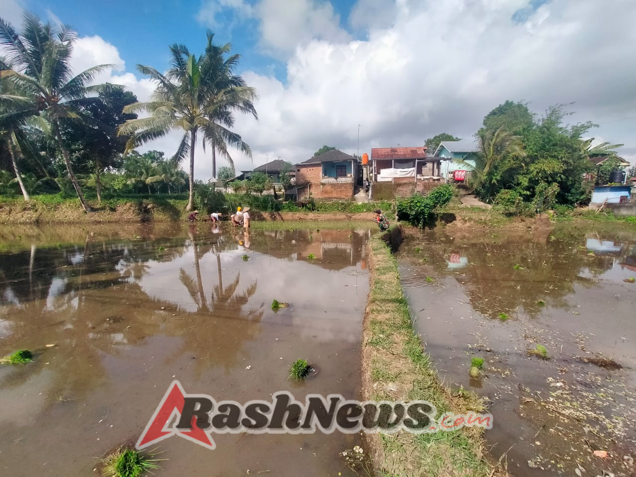 Babinsa Bersama PPL Monitoring Penambahan LTT di Desa Arjangka