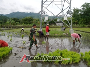 Monitoring dan Pamwil, Babinsa Koramil 1602-04 Laksanakan Komsos Bersama Petani di Ende