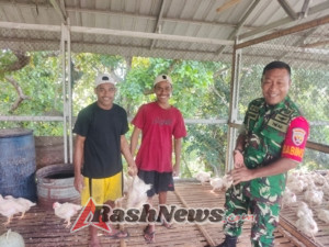 Peduli Ekonomi Rakyat, Babinsa Koramil 1602-01/Ende Lakukan Komsos dan Pendampingan Usaha Ternak