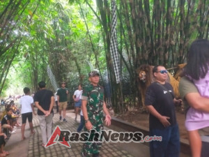Dukung Kelestarian Seni Budaya Tradisional Bali, Babinsa Kubu Amankan Lomba Pementasan Barong Macan
