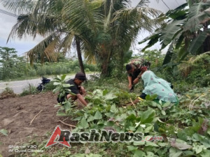 TNI dan Rakyat Bersatu: Kopda Faisal Idrus Gotong Royong di Kebun Talas