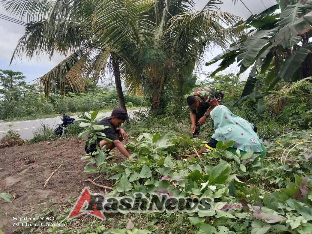 TNI dan Rakyat Bersatu: Kopda Faisal Idrus Gotong Royong di Kebun Talas