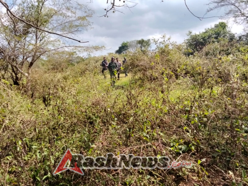 Patroli Gabungan Kawasan TN Tambora Fokuskan Pemantauan Aktivitas Masyarakat dan Rehabilitasi Hutan