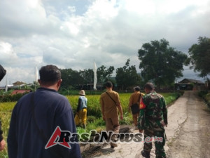 Sukseskan Hanpangan, Babinsa Gunaksa Bersama Distan Klungkung Dan PPL Cek Lokasi Gerakan Panen Bersama