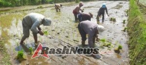 Peltu Komang Wiredana Babinsa Mengani Beri Semangat Petani Untuk Meningkatkan Hasil Pertanian