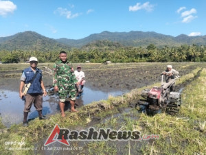 Babinsa Enda Turun Langsung Bantu Petani Hadapi Tantangan Pertanian Tahun Ini
