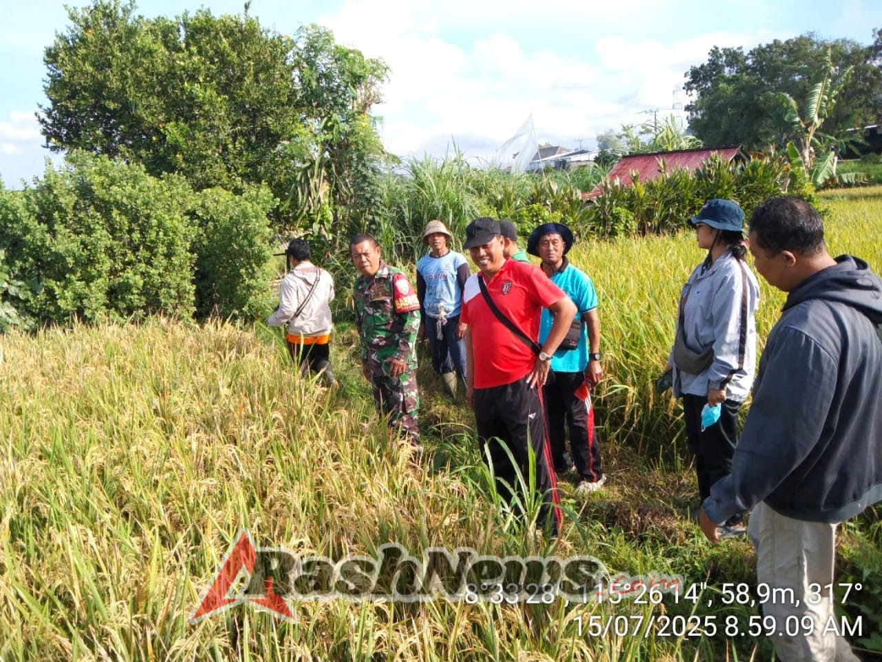 Dukung Kesuksesan hanpangan Wilayah, Babinsa Gunaksa Konsisten Dampingi Petani