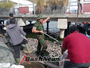 Kodim 1626/Bangli Bersama Instansi Terkait Laksanakan Pembersihan Ikan Mati di Danau Batur Akibat Semburan Belerang