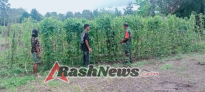 Anggota Subsatgaster Pos Pantai Tuamese  Dampingi Petani, Berikan Solusi Perawatan Tanaman dan Bangun Komunikasi yang Baik