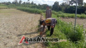 Ketahanan Pangan Polsek Blahbatuh: Bhabinkamtibmas Keramas Pantau Pertumbuhan Tanaman Jagung di Subak Ampingan