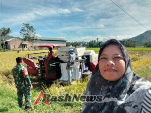 Gabah Petani Aman, Babinsa Pastikan Panen dan Distribusi Lancar
