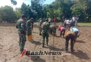 Sinergi TNI dan BUMDes dorong ketahanan pangan di Adonara