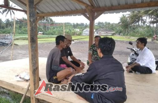 Babinsa Mamben Lauk Ajak Petani Dukung Swasembada Pangan Nasional