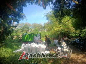 Babinsa Koramil 1614-01 Dompu dan Poktan Kedondong 1 Panen Padi, Hasil Capai 7 Ton