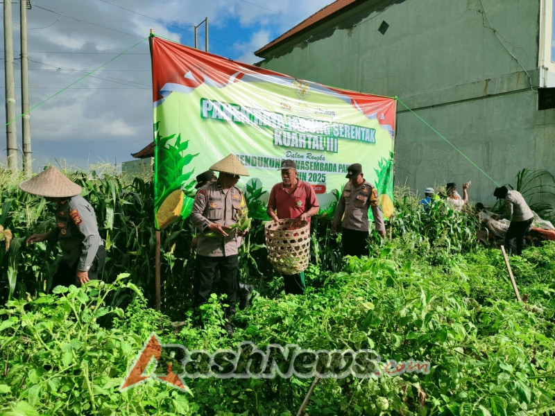PANEN RAYA JAGUNG KWARTAL III DUKUNG KETAHANAN PANGAN 2025 DI DENPASAR SELATAN