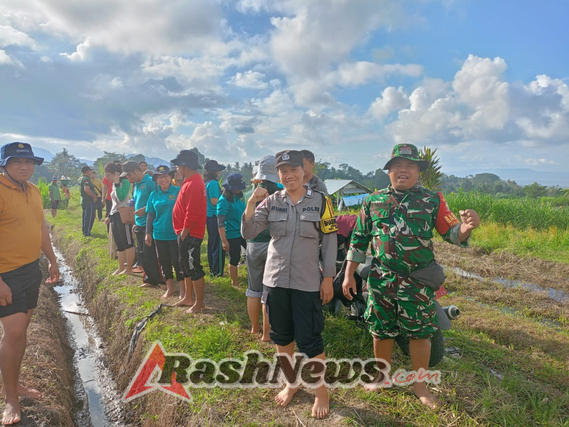 Turun Sawah, Koramil Banjarangkan Bersama Berbagai Pihak Tanam Padi Serentak