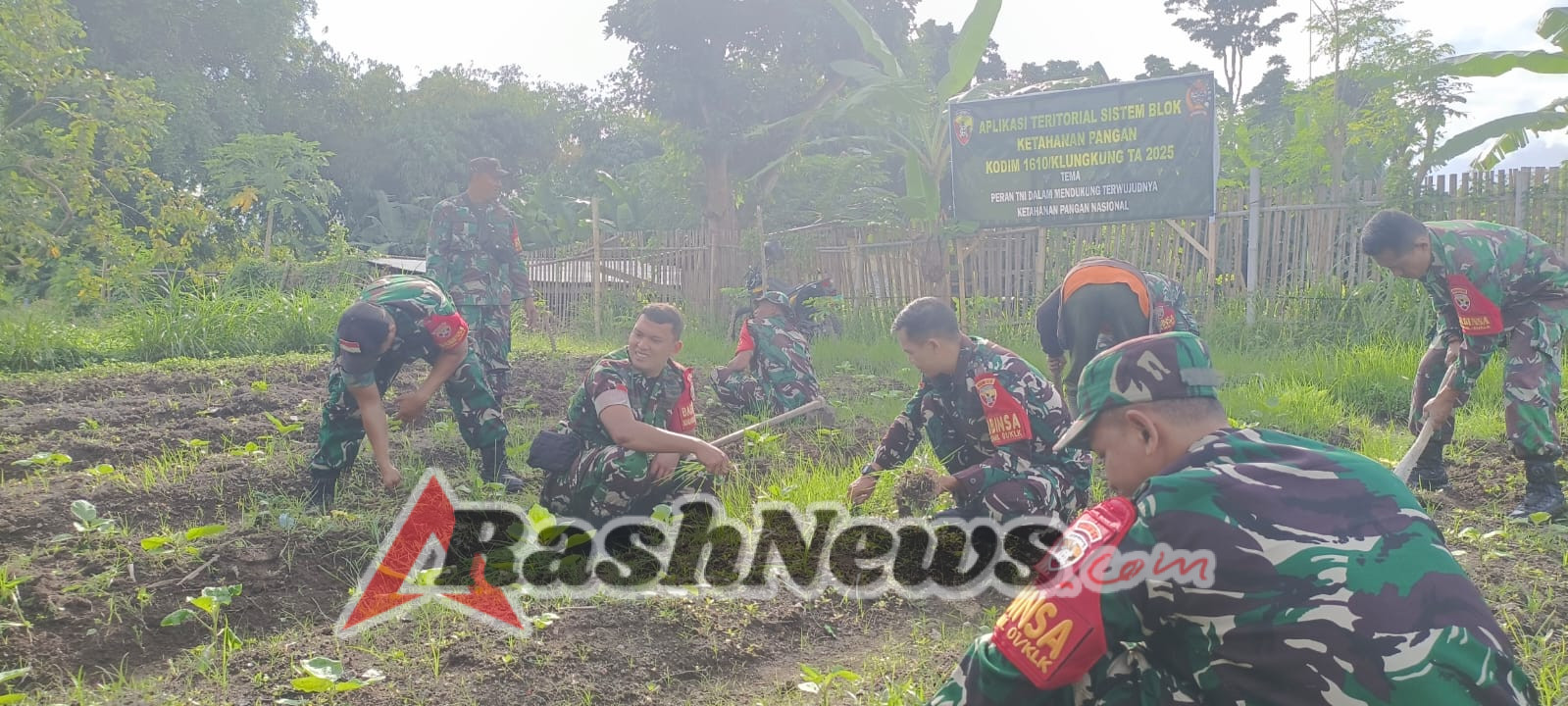 Pembinaan Hanpangan, Koramil Klungkung Sapu Bersih Gulma Do Lahan Pak Wayan Winaya