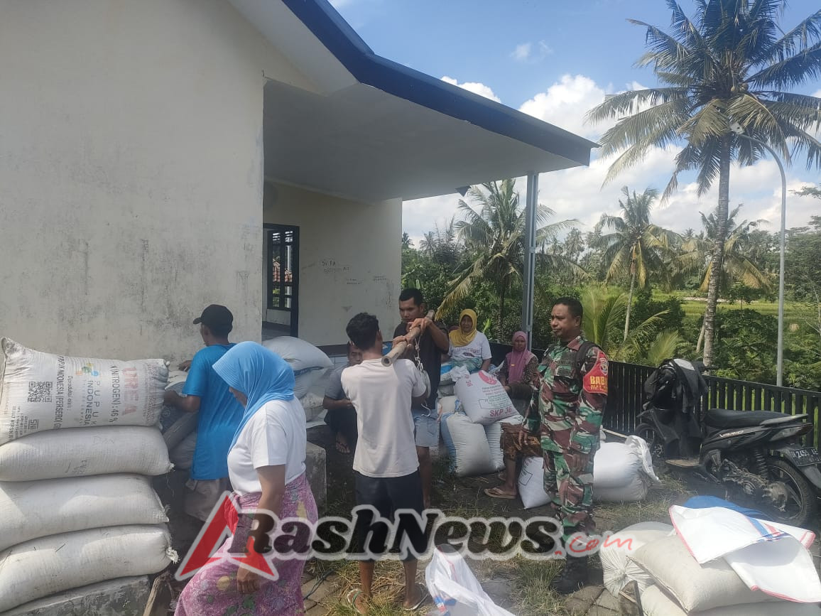 Dukung Kesejahteraan Petani, Babinsa Murbaya Kawal Penjualan Gabah