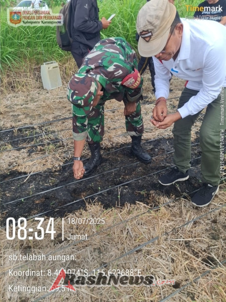 Babinsa Kelurahan Karangasem Bersinergi dengan Dinas Pertanian Tanam Kacang Tanah di Subak Telabah Aungan