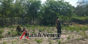 Serda Roni Riberu Himbau Petani Manfaatkan Lahan untuk Tingkatkan Kesejahteraan