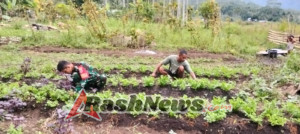 Babinsa Maleipea Bantu Bersihkan Lahan Sayur Warga