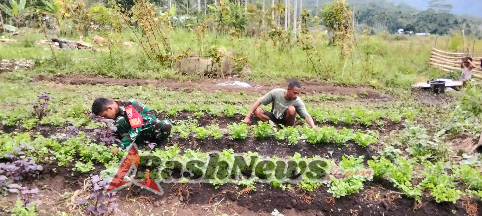 Babinsa Maleipea Bantu Bersihkan Lahan Sayur Warga