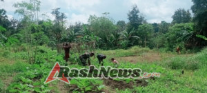 Babinsa Koramil 1618-06/Bian Bantu Petani Sayur di Desa Mata Besi