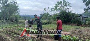 Sinergi TNI dan Petani, Babinsa Tabundung Bantu Pengawasan Kebun Sayur