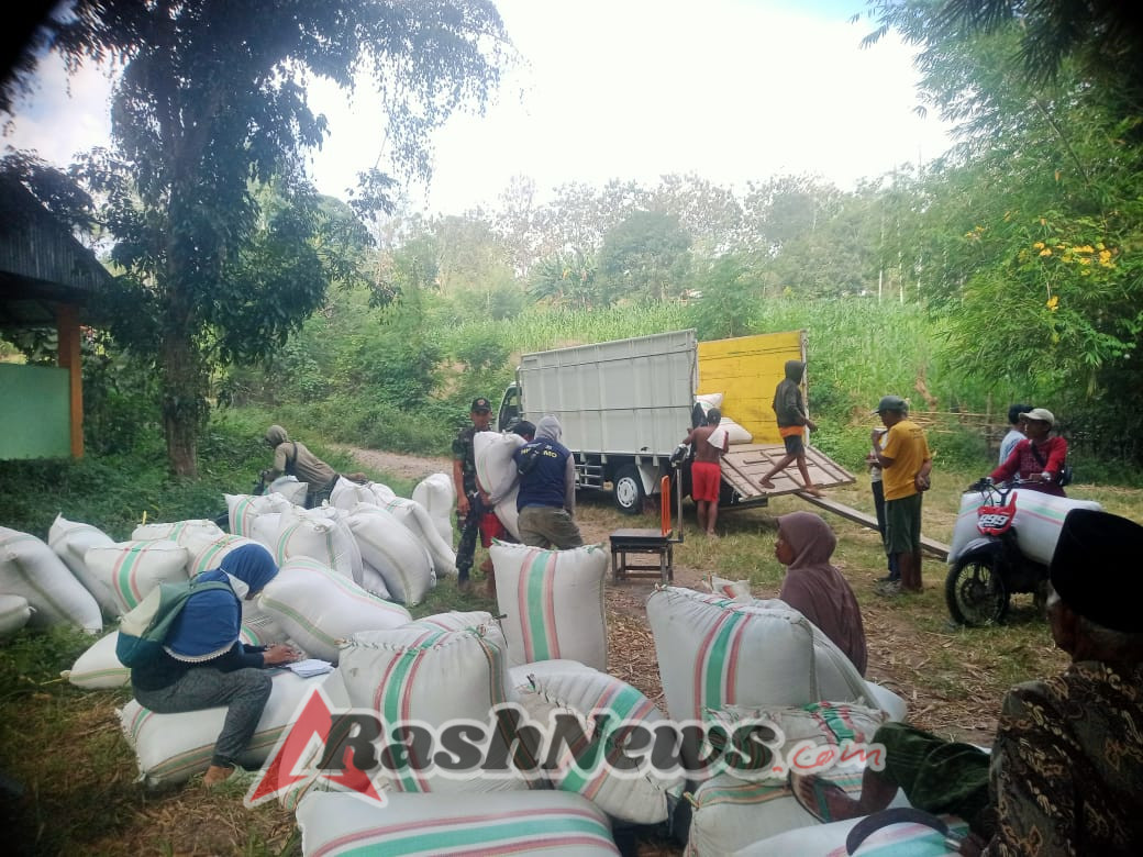 Panen 2,7 Hektare Padi, Poktan Kedondong Dapat Harga Layak