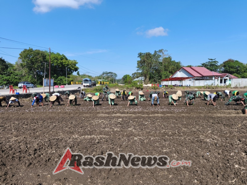 Kodim 1613/Sumba Barat Dorong Swasembada, Lakukan Tanam Perdana Bawang di Lahan Percontohan