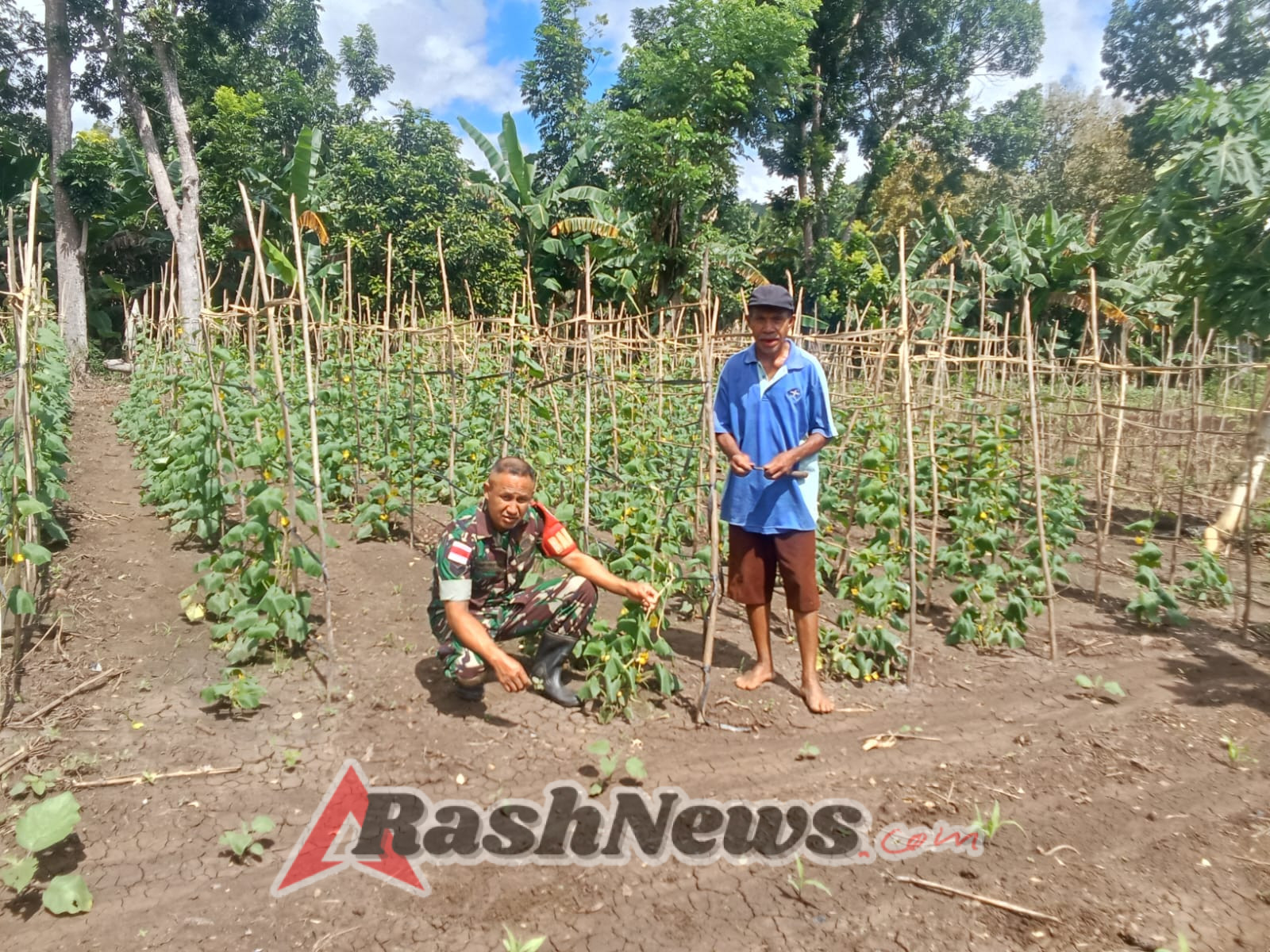 Serka Legius Ludji Leo Beri Pendampingan dan Solusi Pengendalian Hama di Lahan Sayur Desa Anus Kolin