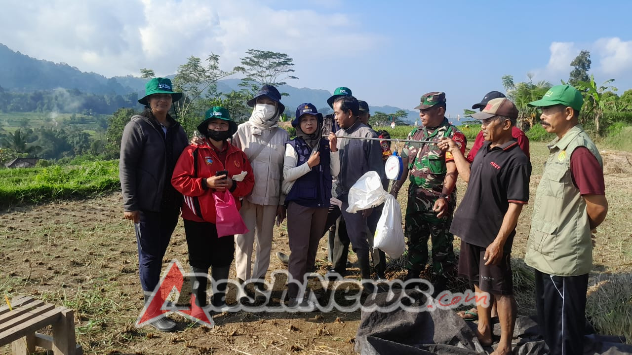 Panen raya padi di Subak Dukuh wujud sinergi TNI Koramil 1623-04/Sidemen dengan petani.