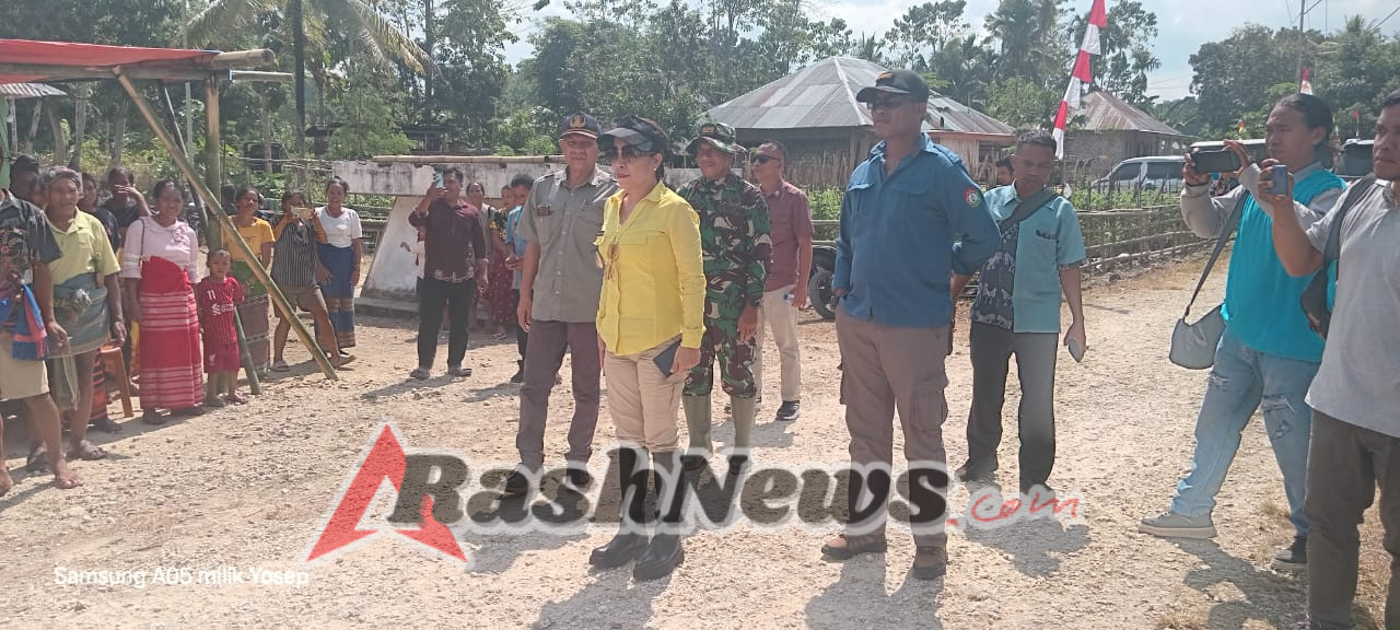 Sinergi TNI, Pemerintah, dan Petani: Panen Raya Padi Serentak di Sumba Barat Daya