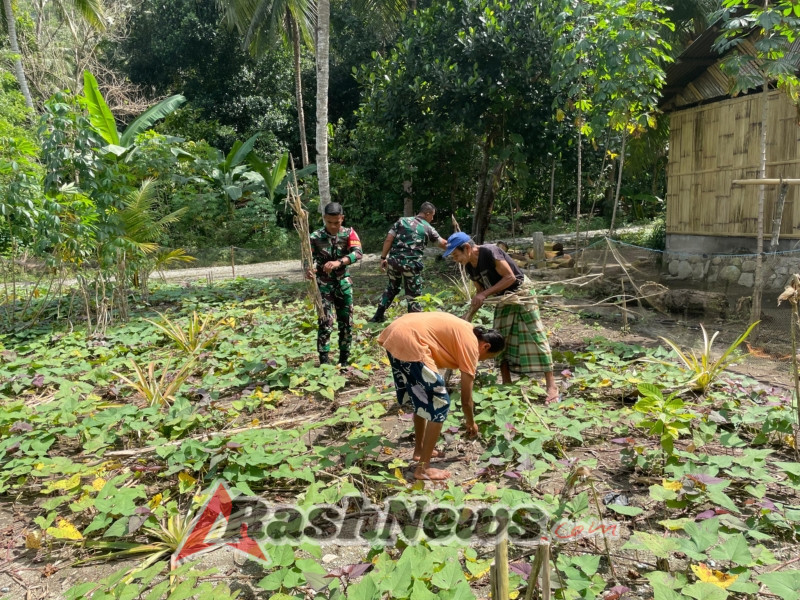 Babinsa Koramil 1602-01/Ende Berikan Himbauan Kesehatan dan Keamanan di Desa Ondorea