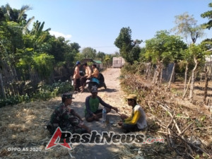 Babinsa 1614-04 kilo Terjun ke Ladang, Dukung Ketahanan Pangan