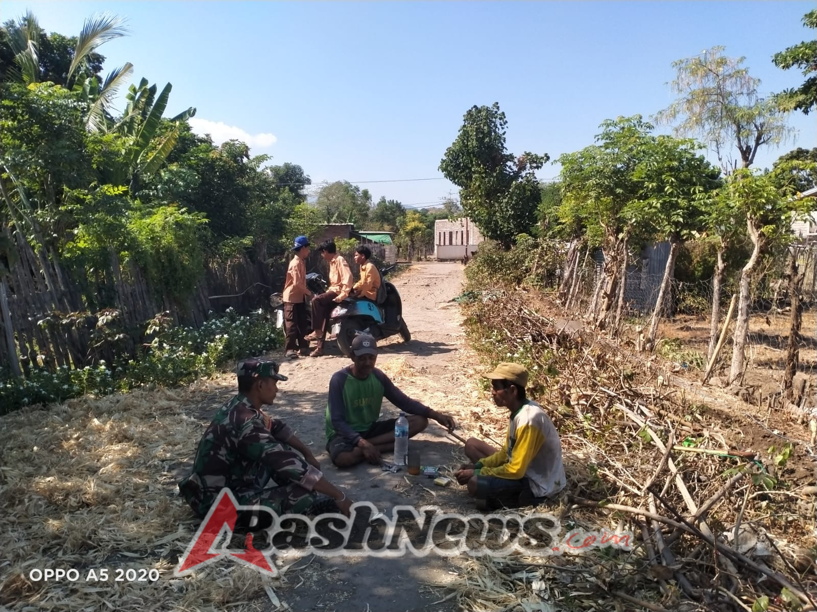Babinsa 1614-04 kilo Terjun ke Ladang, Dukung Ketahanan Pangan