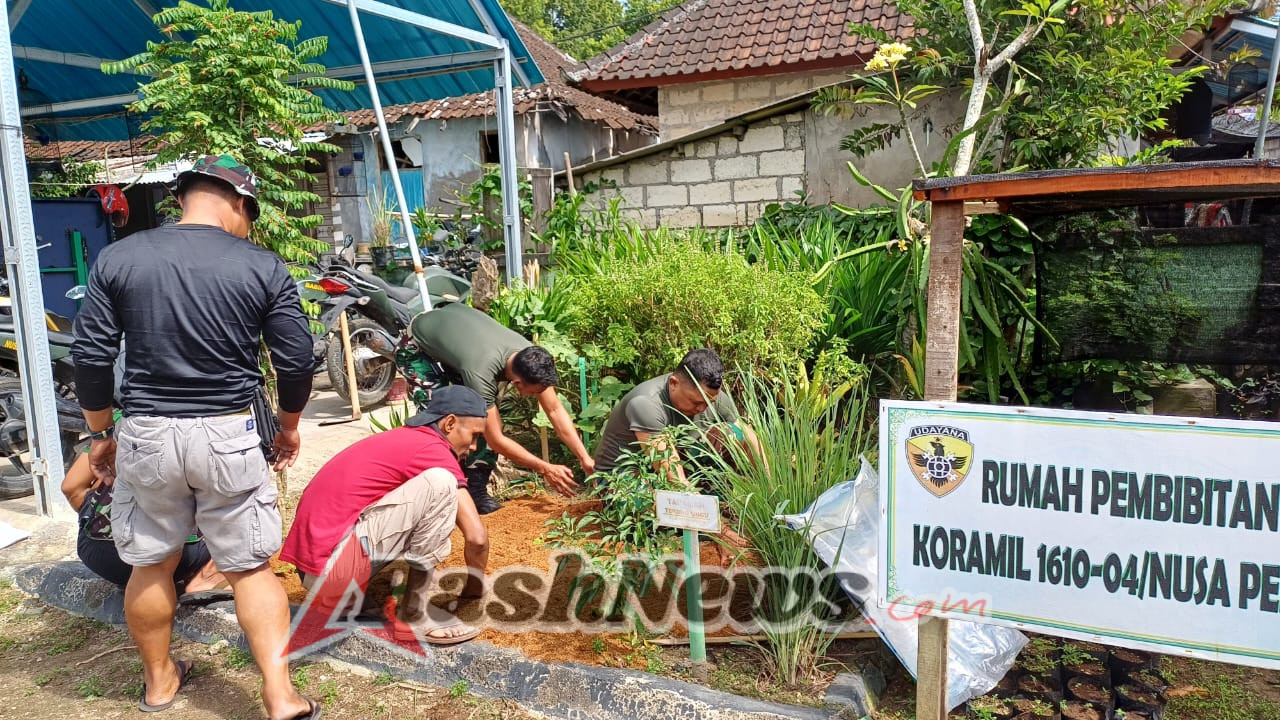Jaga Pertumbuhan Urban Farming, Wadanramil Nusa Penida Kerahkan Prajurit Gelar Pemupukan