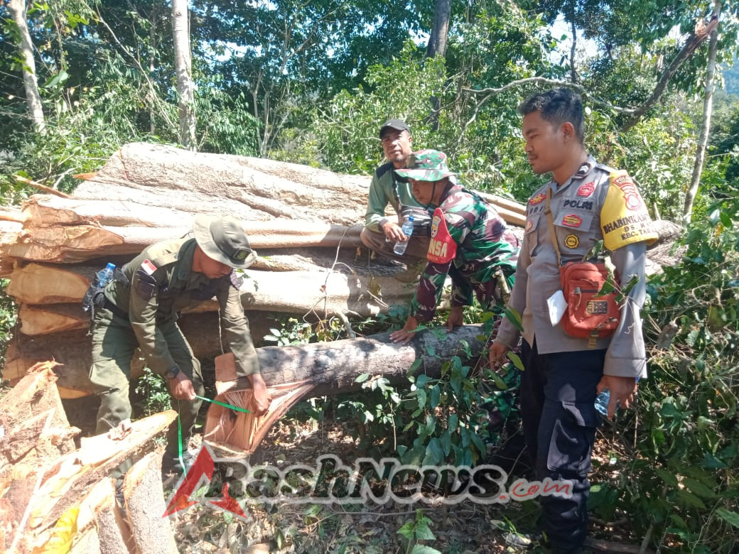 TNI Hadir di Tengah Rakyat: Babinsa Dampingi Crossing Kayu Rimba Secara Tertib