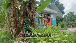 Babinsa Bersama Warga Bersihkan Daun Pisang Yang Mengering
