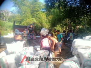 Babinsa dan Poktan Panen 4,6 Hektare Padi di So Koci Muka