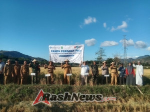 Peran Aktif Babinsa Koramil Woha dalam Meningkatkan Produktivitas Padi Amfibi di Bima