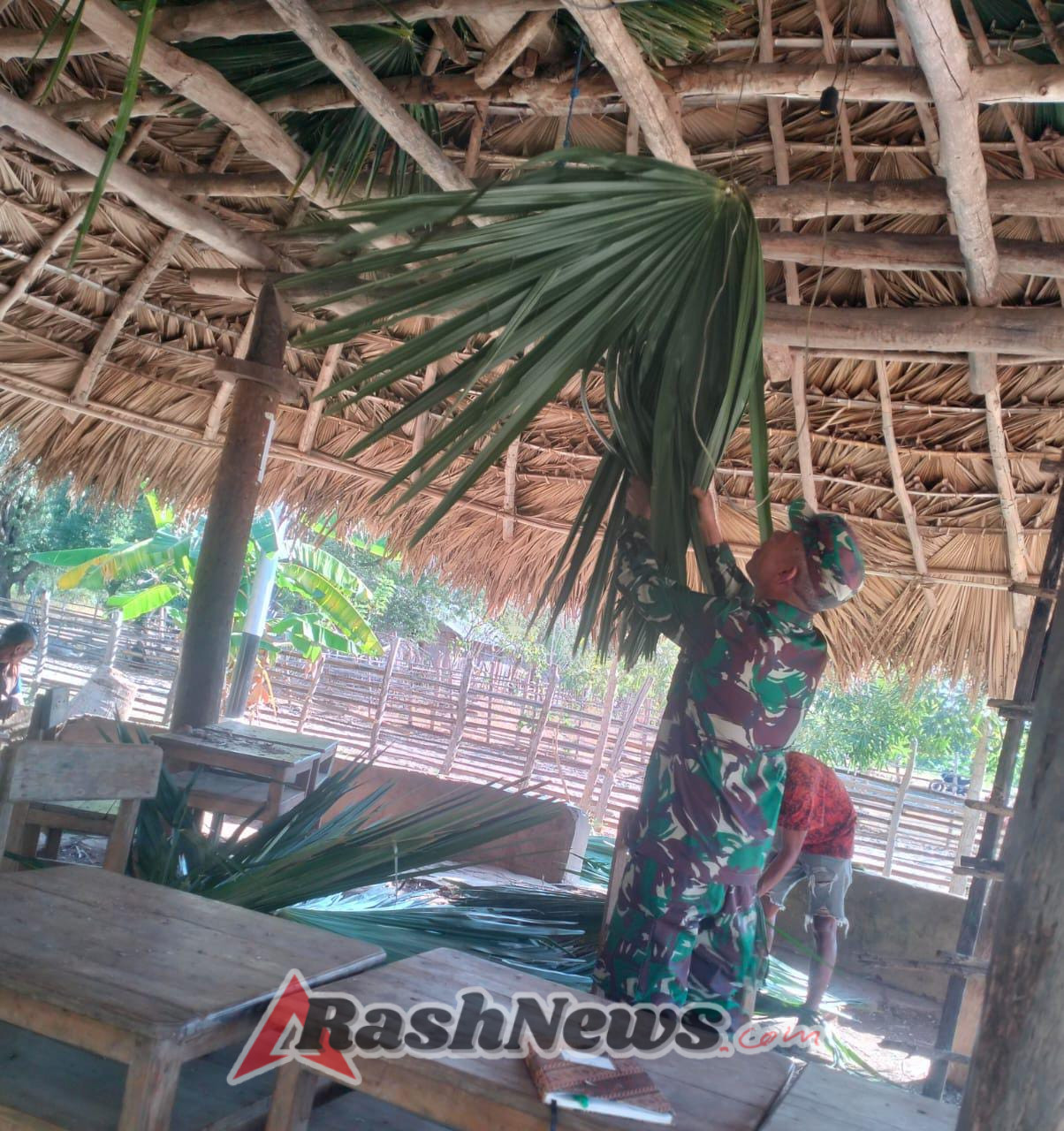 Babinsa Koramil 1618-06/Bian Bantu Warga Perbaiki Atap Rumah Adat di Desa Motadik