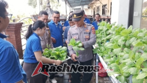 Bersama Kepala Yayasan dan Guru, Kanit Binmas Panen Pokcai di Lahan Hidroponik SMK PGRI 3