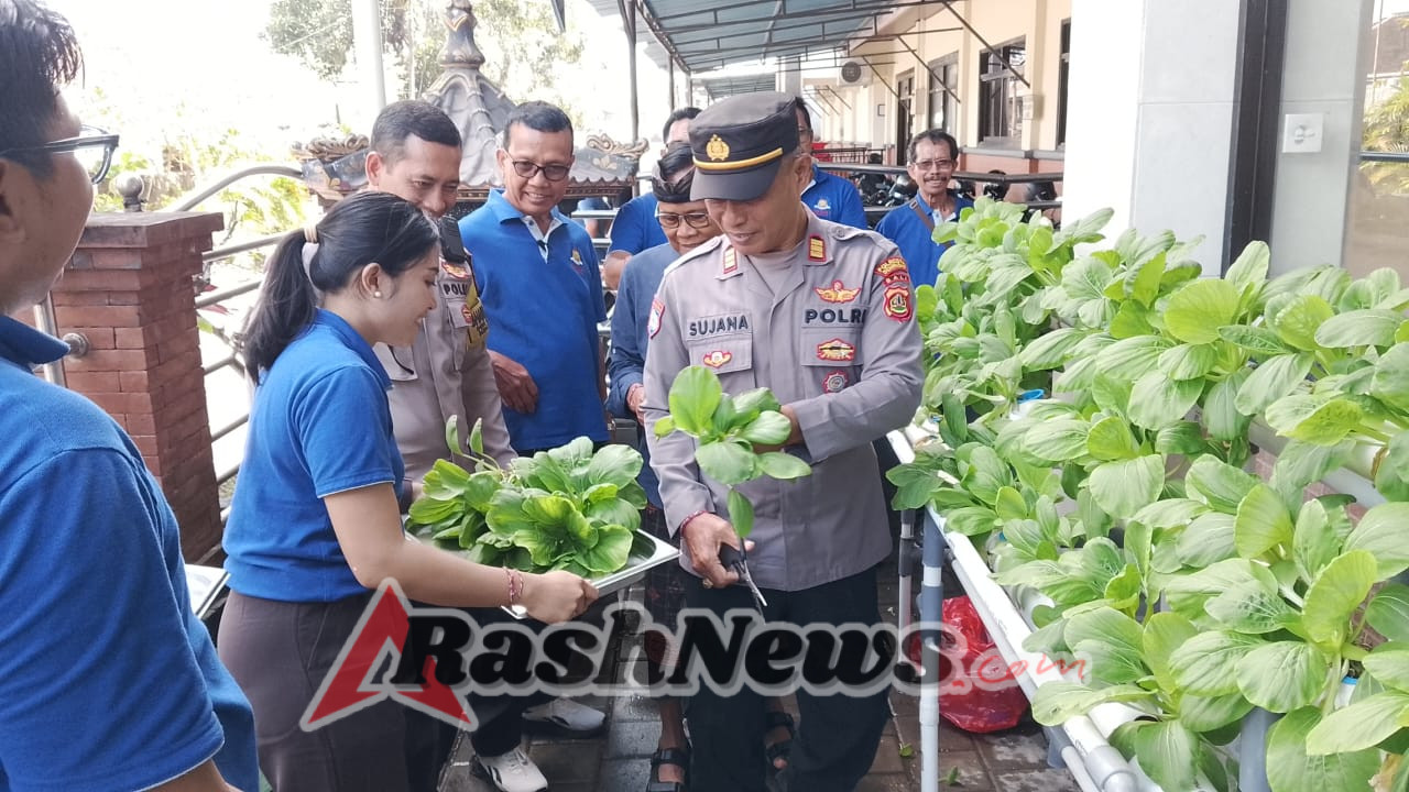 Bersama Kepala Yayasan dan Guru, Kanit Binmas Panen Pokcai di Lahan Hidroponik SMK PGRI 3