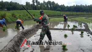Sertu Yunus Ketti Motivasi Petani untuk Tingkatkan Produktivitas Pertanian